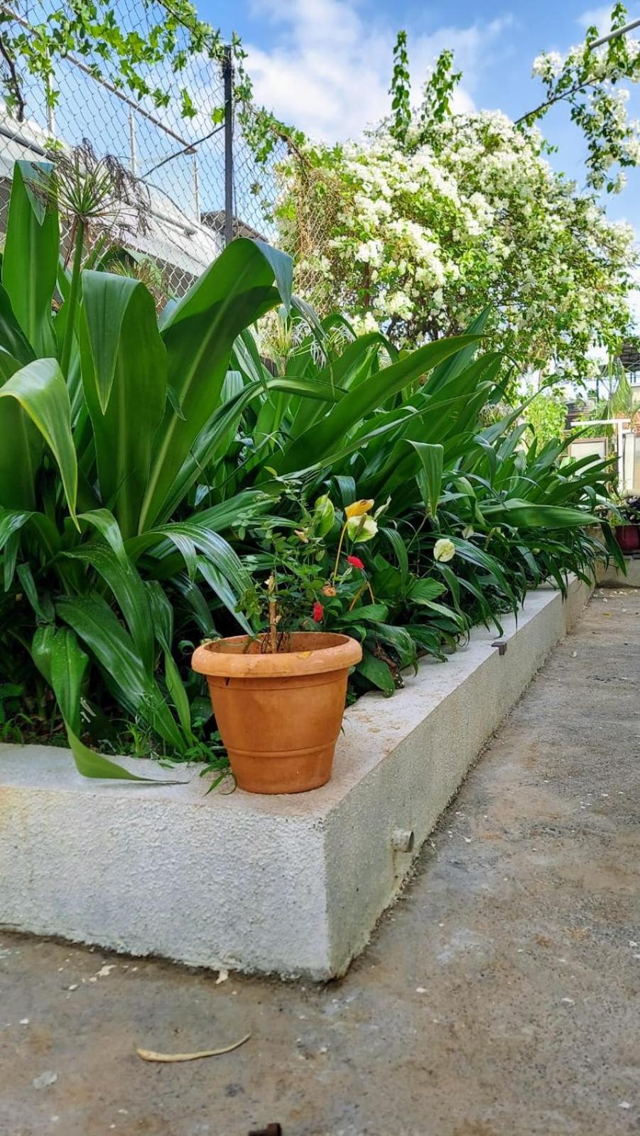 Lonavala Francis Villa Exclusive 4-Bedroom Family Retreat With Pool Ngoại thất bức ảnh
